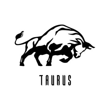 TAURUS TSL KAMIL KRZYŻEWSKI