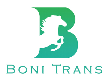 BONI TRANSPORTES SRL